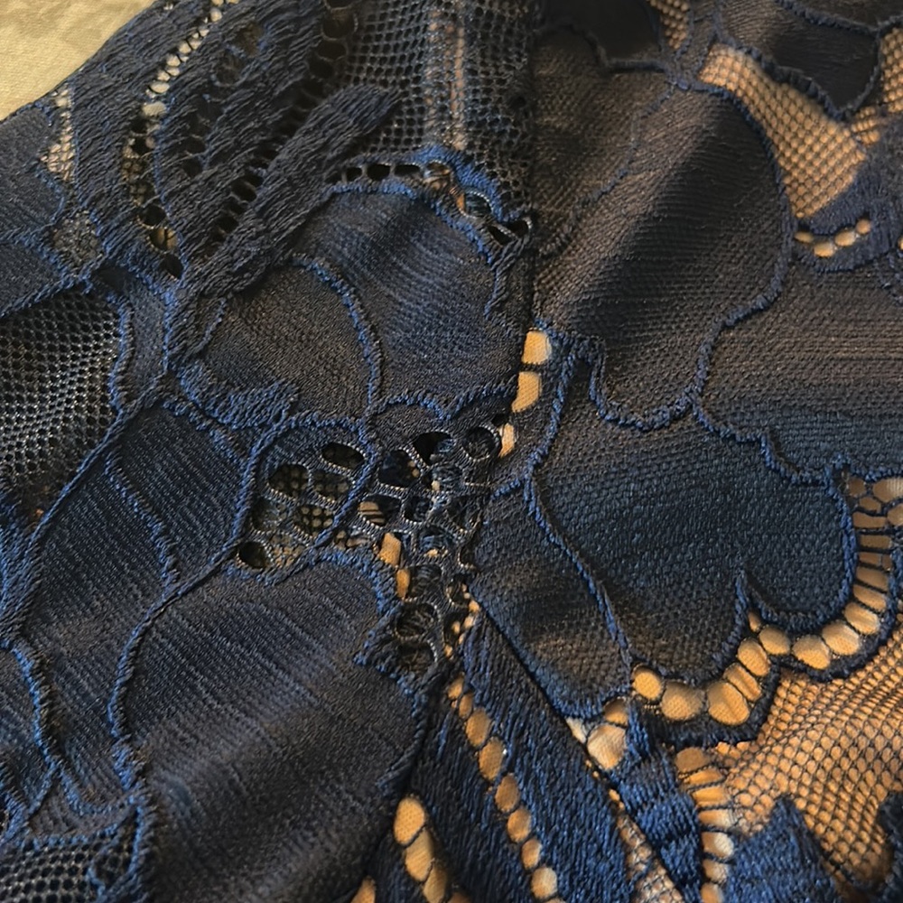 Adrianna Papell Navy Blue Lace Dress - Picture 10 of 13